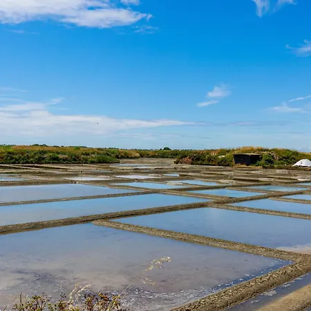 Benoit A 80m, Terrasse & Jardinet *