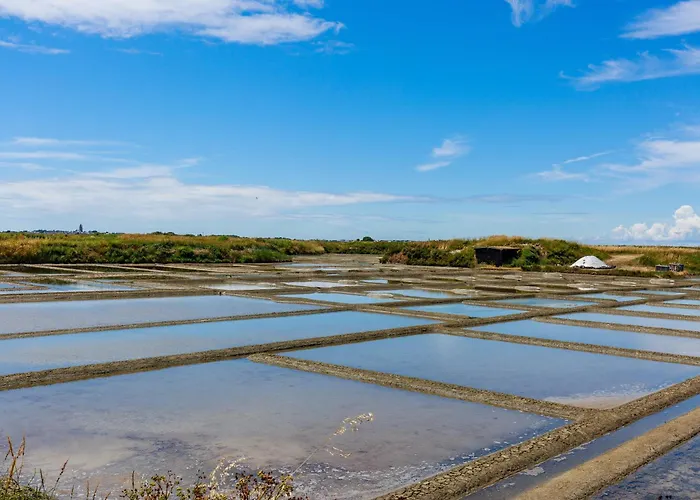 Benoit A 80m, Terrasse & Jardinet *